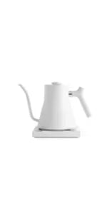 Electric Gooseneck Kettle