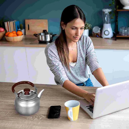 Stainless Steel Whistling Tea Kettle