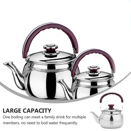 Stainless Steel Whistling Tea Kettle