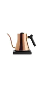 Electric Gooseneck Kettle