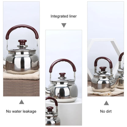 Stainless Steel Whistling Tea Kettle