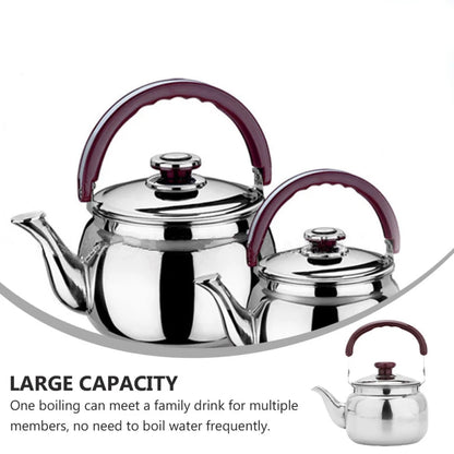 Stainless Steel Whistling Tea Kettle