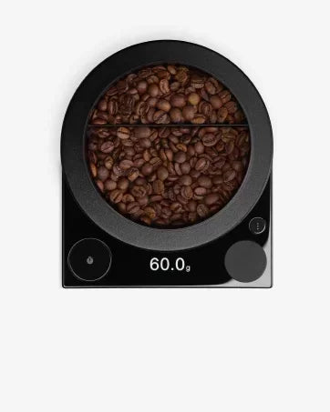 Electric Gooseneck Kettle