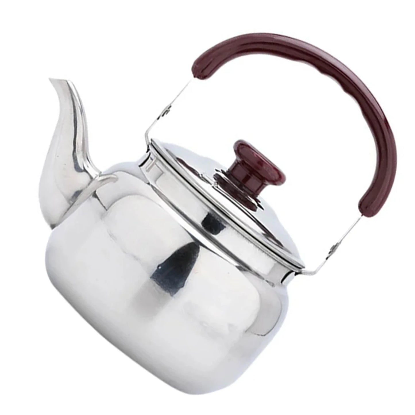 Stainless Steel Whistling Tea Kettle